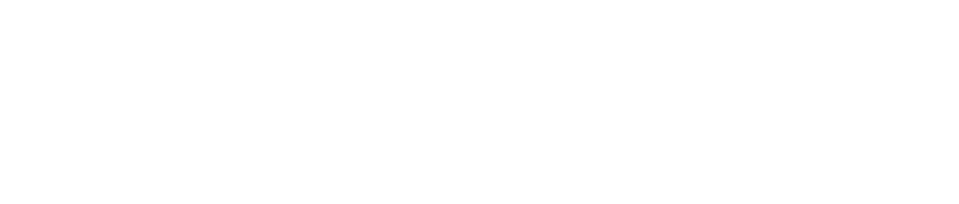 Логотип CSiBridge
