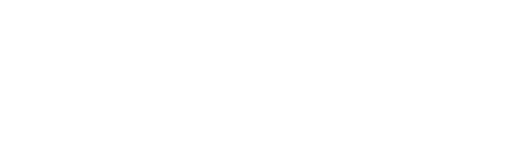 Логотип SAFE